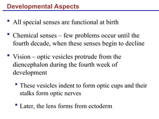 Developmental Aspects
 All special senses are functional at birth
 Chemical senses – few problems occur until the
fourth decade, when these senses begin to decline
 Vision – optic vesicles protrude from the
diencephalon during the fourth week of
development
 These vesicles indent to form optic cups and their
stalks form optic nerves
 Later, the lens forms from ectoderm
 