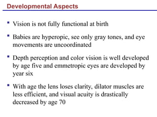 Developmental Aspects
 Vision is not fully functional at birth
 Babies are hyperopic, see only gray tones, and eye
movements are uncoordinated
 Depth perception and color vision is well developed
by age five and emmetropic eyes are developed by
year six
 With age the lens loses clarity, dilator muscles are
less efficient, and visual acuity is drastically
decreased by age 70
 