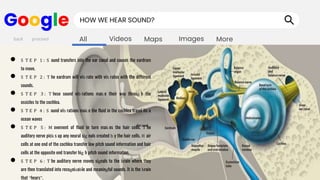 Images
Maps
Videos
All More
Google HOW WE HEAR SOUND?
● S T E P 1 : S ound transfers into the ear canal and causes the eardrum
to move.
● S T E P 2 : T he eardrum will vib rate with vib rates with the different
sounds.
● S T E P 3 : T hese sound vib rations mak e their way throug h the
ossicles to the cochlea.
● S T E P 4 : S ound vib rations mak e the fluid in the cochlea travel lik e
ocean waves
● S T E P 5 : M ovement of fluid in turn mak es the hair cells. T he
auditory nerve pick s up any neural sig nals created b y the hair cells. H air
cells at one end of the cochlea transfer low pitch sound information and hair
cells at the opposite end transfer hig h pitch sound information.
● S T E P 6 : T he auditory nerve moves signals to the brain where they
are then translated into recognizable and meaningful sounds. It is the brain
that “hears”.
back proceed
 