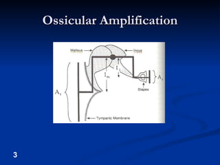 Ossicular Amplification 