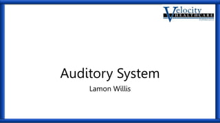 Auditory System
Lamon Willis
 