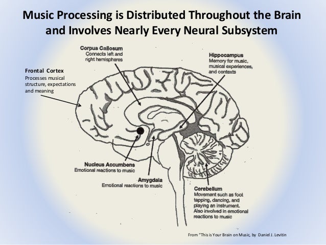Auditory Bilateral Stimulation For Healing and Personal Growth diagram of emdr 