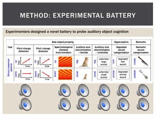 METHOD: EXPERIMENTAL BATTERY

Experimenters designed a novel battery to probe auditory object cognition
 