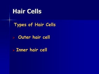 Hair Cells
Types of Hair Cells
 Outer hair cell
 Inner hair cell
 
