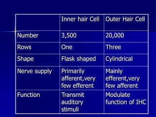 Inner hair Cell Outer Hair Cell
Number 3,500 20,000
Rows One Three
Shape Flask shaped Cylindrical
Nerve supply Primarily
afferent,very
few efferent
Mainly
efferent,very
few afferent
Function Transmit
auditory
stimuli
Modulate
function of IHC
 