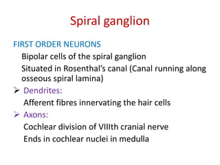 Spiral ganglion
FIRST ORDER NEURONS
Bipolar cells of the spiral ganglion
Situated in Rosenthal’s canal (Canal running along
osseous spiral lamina)
 Dendrites:
Afferent fibres innervating the hair cells
 Axons:
Cochlear division of VIIIth cranial nerve
Ends in cochlear nuclei in medulla
 