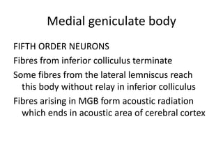 Medial geniculate body
FIFTH ORDER NEURONS
Fibres from inferior colliculus terminate
Some fibres from the lateral lemniscus reach
this body without relay in inferior colliculus
Fibres arising in MGB form acoustic radiation
which ends in acoustic area of cerebral cortex
 