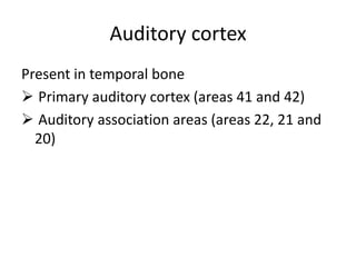 Auditory cortex
Present in temporal bone
 Primary auditory cortex (areas 41 and 42)
 Auditory association areas (areas 22, 21 and
20)
 