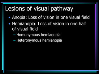 Lesions of visual pathway
• Anopia: Loss of vision in one visual field
• Hemianopia: Loss of vision in one half
of visual field
– Homonymous hemianopia
– Heteronymous hemianopia
 