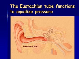 The Eustachian tube functions
to equalize pressure
 