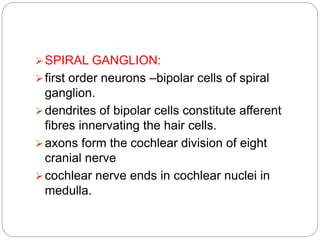 SPIRAL GANGLION:
first order neurons –bipolar cells of spiral
ganglion.
dendrites of bipolar cells constitute afferent
fibres innervating the hair cells.
axons form the cochlear division of eight
cranial nerve
cochlear nerve ends in cochlear nuclei in
medulla.
 