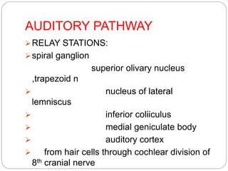AUDITORY PATHWAY
RELAY STATIONS:
spiral ganglion
superior olivary nucleus
,trapezoid n
 nucleus of lateral
lemniscus
 inferior coliiculus
 medial geniculate body
 auditory cortex
 from hair cells through cochlear division of
8th cranial nerve
 