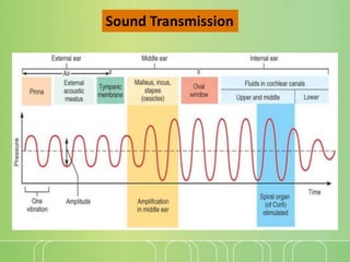Auditory pathways | PPTX