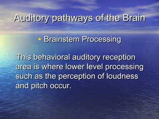 HIS 120 Auditory Pathways of the Brain | PPT