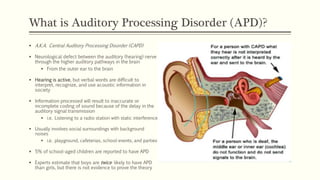 What is Auditory Processing Disorder (APD)?
 A.K.A. Central Auditory Processing Disorder (CAPD)
 Neurological defect between the auditory (hearing) nerve
through the higher auditory pathways in the brain
 From the outer ear to the brain
 Hearing is active, but verbal words are difficult to
interpret, recognize, and use acoustic information in
society
 Information processed will result to inaccurate or
incomplete coding of sound because of the delay in the
auditory signal transmission
 i.e. Listening to a radio station with static interference
 Usually involves social surroundings with background
noises
 i.e. playground, cafeterias, school-events, and parties
 5% of school-aged children are reported to have APD
 Experts estimate that boys are twice likely to have APD
than girls, but there is not evidence to prove the theory
 