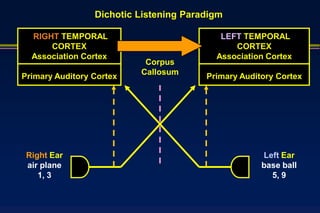 Dichotic Listening Paradigm

  RIGHT TEMPORAL                           LEFT TEMPORAL
      CORTEX                                  CORTEX
  Association Cortex                      Association Cortex
                           Corpus
                          Callosum
Primary Auditory Cortex                 Primary Auditory Cortex




 Right Ear                                           Left Ear
 air plane                                           base ball
    1, 3                                               5, 9
 