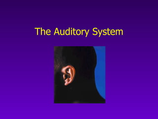 The Auditory System 