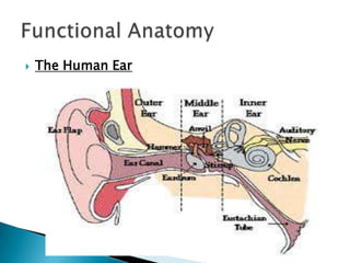 Auditory system | PPTX