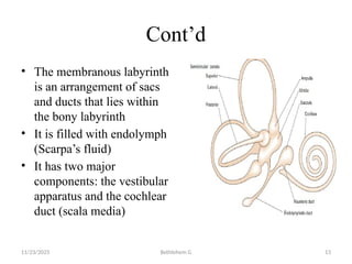 Endolymph Labyrinth Anatomy and physiology Auditory system final.pptx