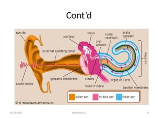 Anatomy and physiology Auditory system final.pptx
