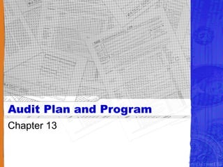 Audit Plan and Program Chapter 13 