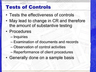 Audit plan and program | PPT