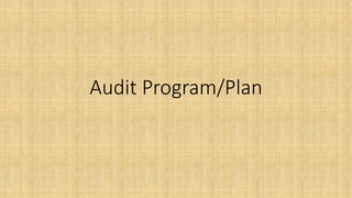 Audit Program/Plan
 