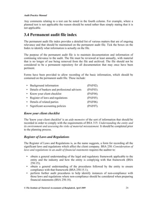 Audit Permanent File Example Audit practice manual | PDF