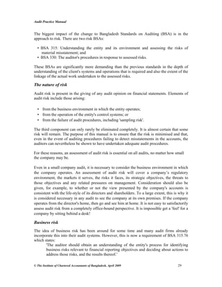 Audit practice manual | PDF