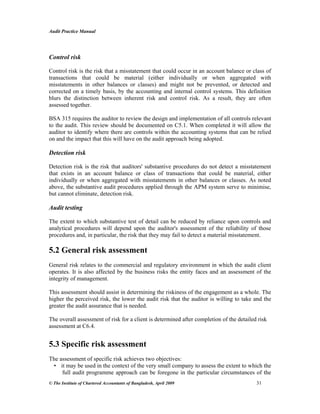 Audit practice manual | PDF
