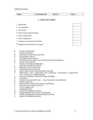 Audit practice manual | PDF