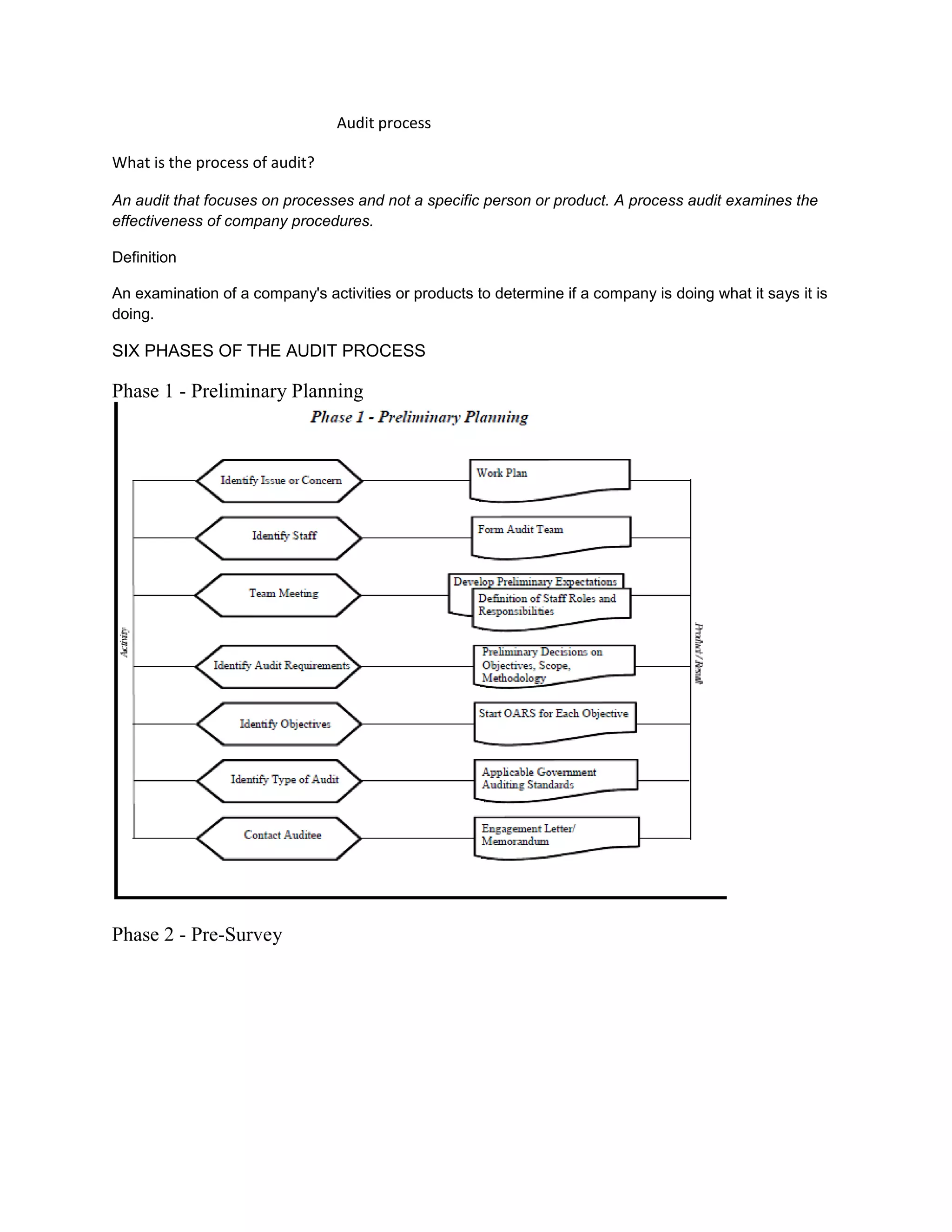 Audit process | PDF