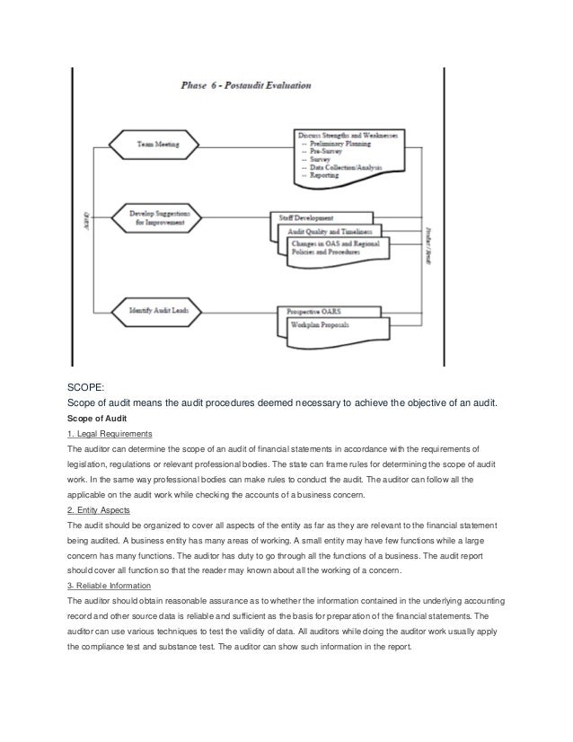 Essay about audit procedure of opsonin pharmaceutical 08 picture