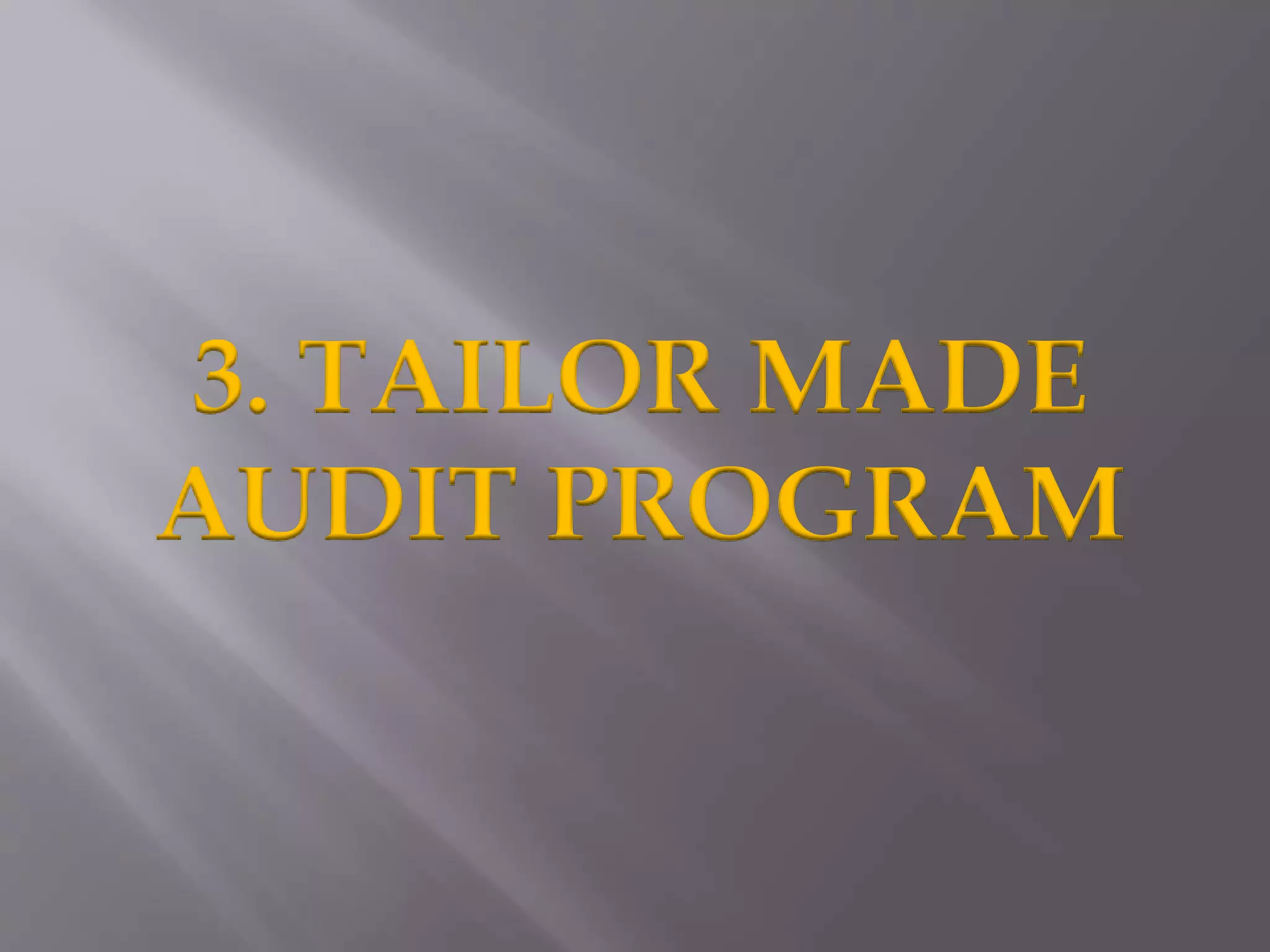 3. TAILOR MADE
AUDIT PROGRAM
 