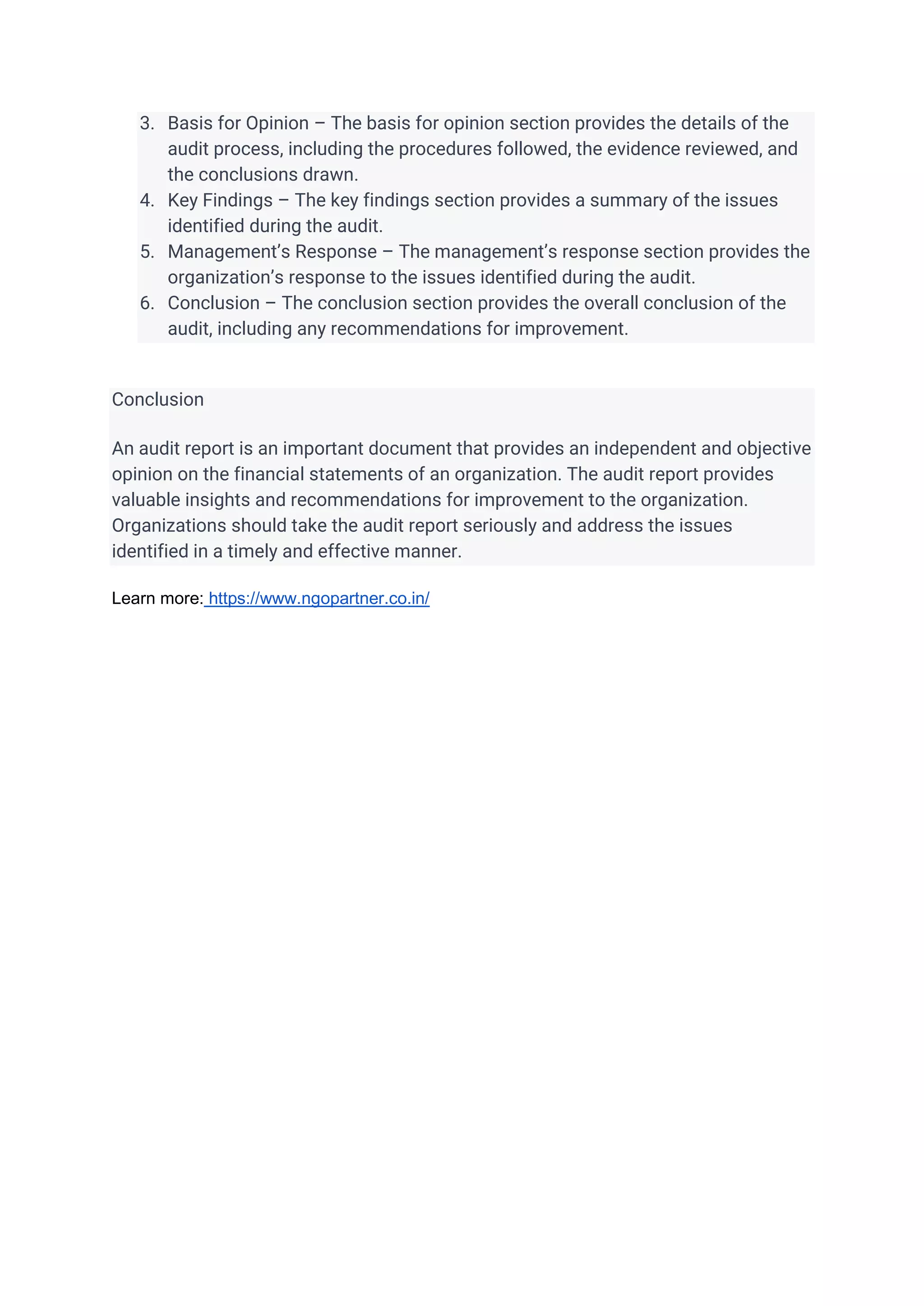 Audit Report.docx