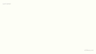 AUDIT REPORT




               aCOWtancy.com
 