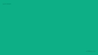 AUDIT REPORT




               aCOWtancy.com
 