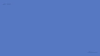 AUDIT REPORT




               aCOWtancy.com
 