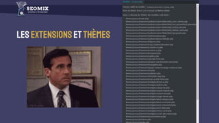 Lesextensionsetthèmes
 
