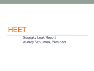 HEET
Squeaky Leak Report
Audrey Schulman, President
 
