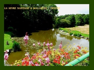 Au dtour des_rivires_de_france