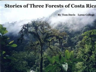 Stories of Three Forests of Costa Rica    By  Tom Davis    Loras College Biology  