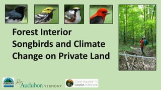 Forest Interior
Songbirds and Climate
Change on Private Land
 