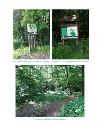 2
3 i 4. Tablice informacyjne o rezerwacie przyrody „Las Dąbrowa” i ścieżce przyrodniczej po rezerwacie
5. Las Dąbrowa. Zapora na drodze wjazdowej
 