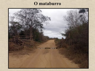 O mataburro
 