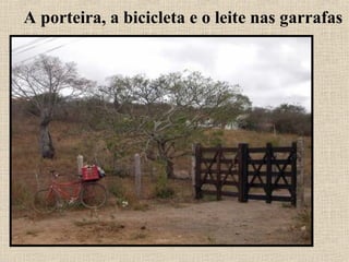 A porteira, a bicicleta e o leite nas garrafas
 