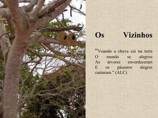 Os             Vizinhos
“Voando   a chuva cai na terra
O     mundo      se     alegrou
As     árvores    enverdeceram
E     os    pássaros    alegres
cantaram.” (ALC)
 