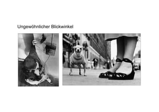 Ungewöhnlicher Blickwinkel
 