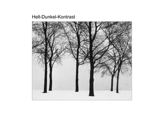 Hell-Dunkel-Kontrast
 