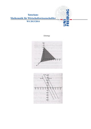 Tutorium:
Mathematik für Wirtschaftswissenschaftler
WS 2013/2014
 